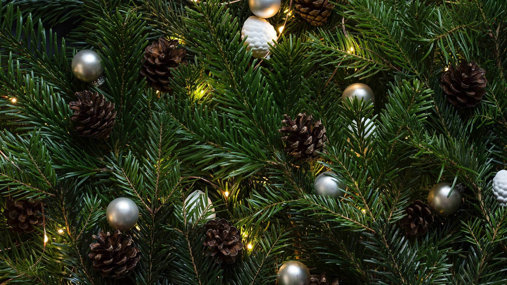Close-Up view of Christmas tree and decorations