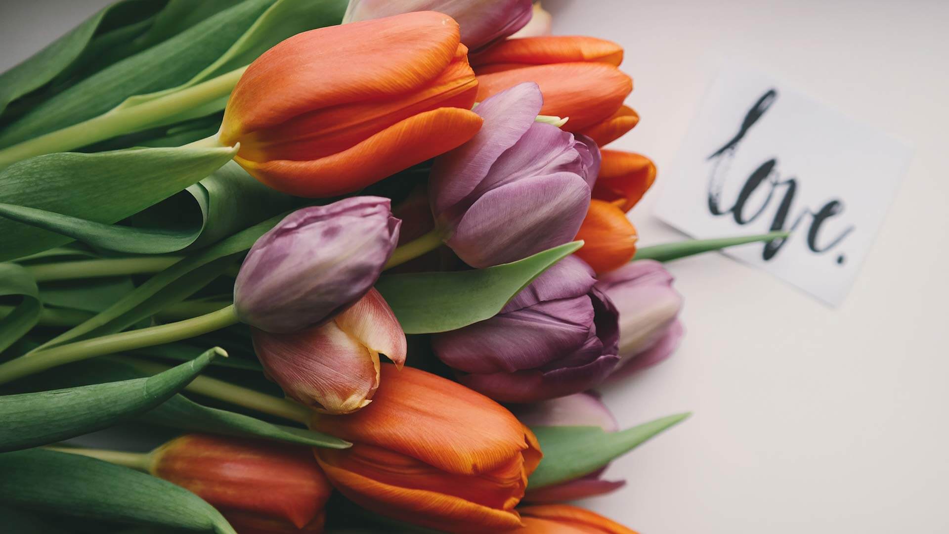 close up of tulips and a note saying 