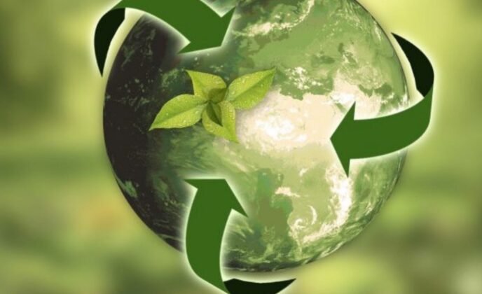 Sustainable food Journey at Trigon hotels