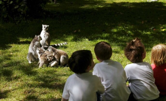 Fota Wildlife Park near Cork International hotel