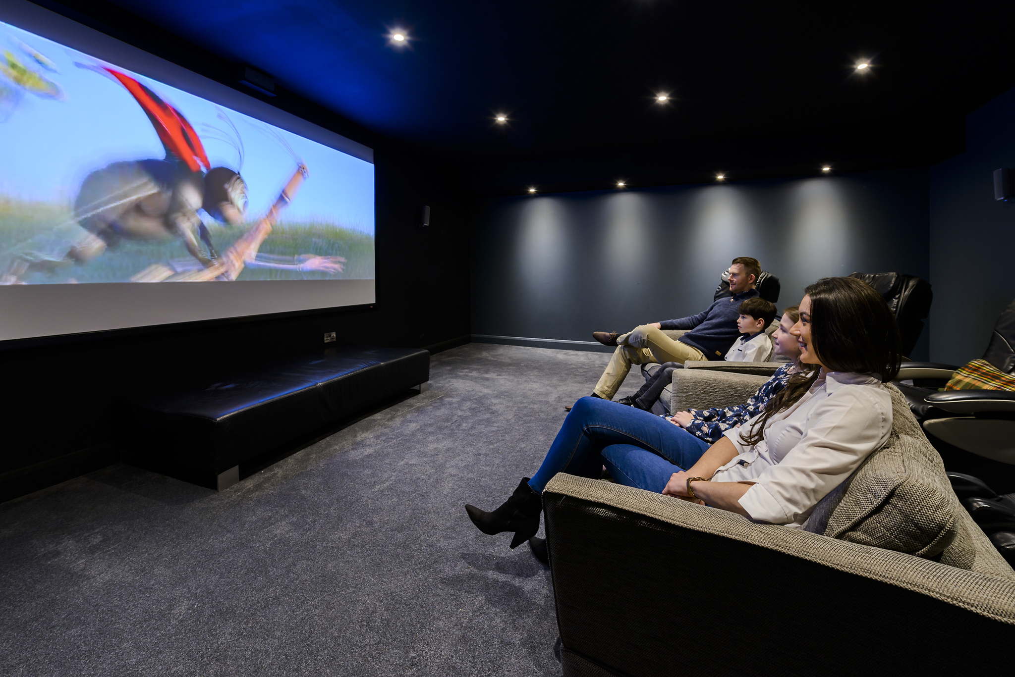 Cinema Room Landscape CIH 2